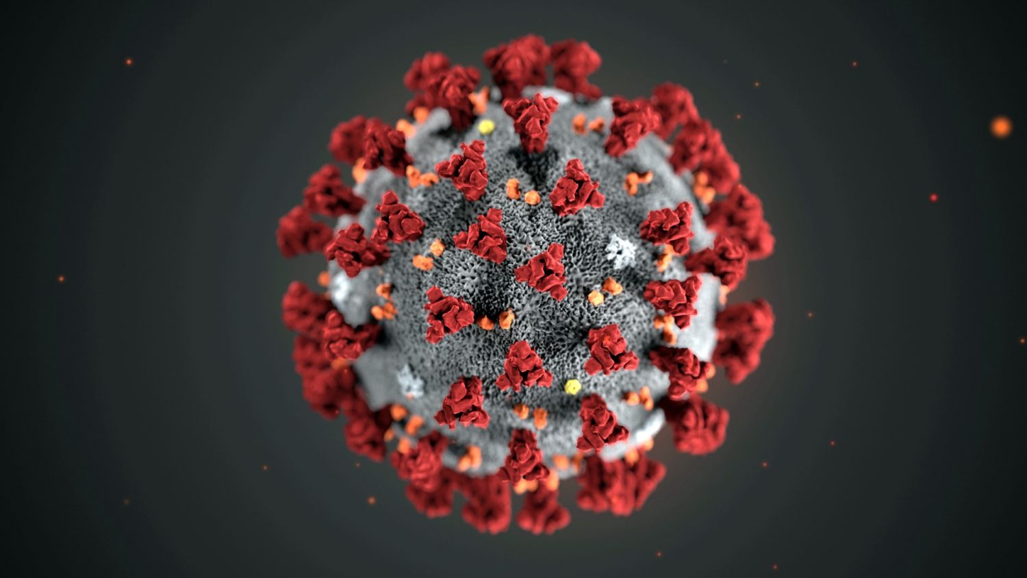 Coronavirus Coronavirus