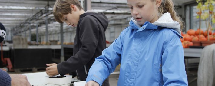 Weekend van de Jeugd: Roefeldag 2026