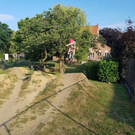 BMX 2019