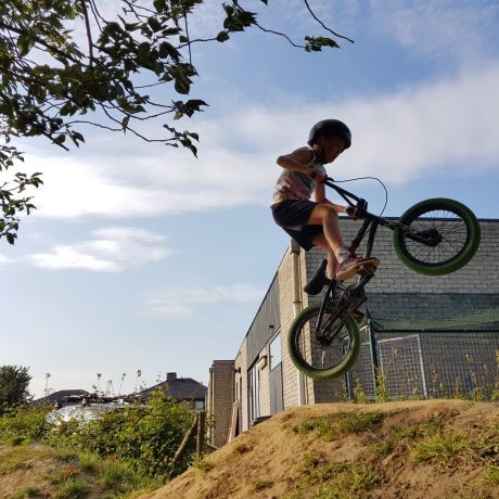 BMX 2019