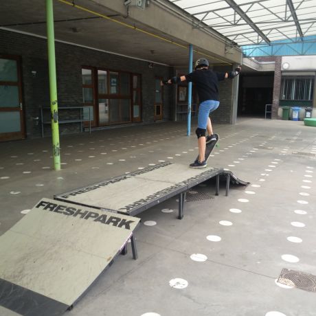 Skate 2019