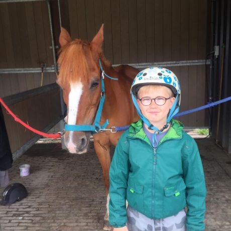 Pony en paardenkamp 2020