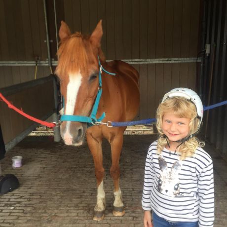 Pony en paardenkamp 2020