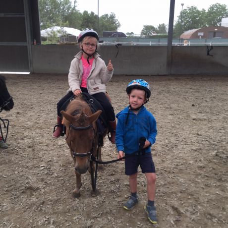 Pony en paardenkamp 2020