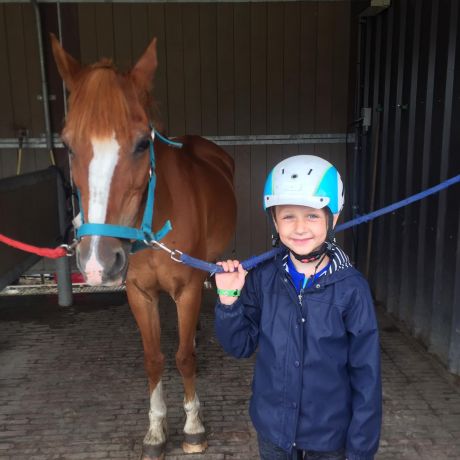 Pony en paardenkamp 2020