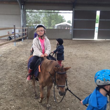 Pony en paardenkamp 2020