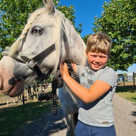 Pony- en paardenkamp 2 - 2020