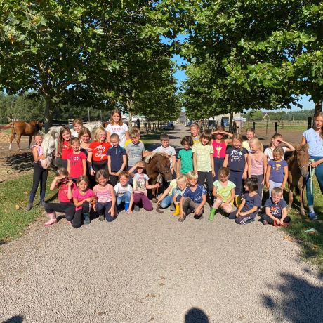 Pony- en paardenkamp 2 - 2020