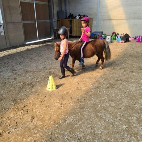 Pony- en paardenkamp 2 - 2020