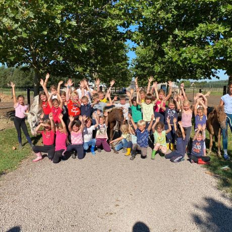 Pony- en paardenkamp 2 - 2020