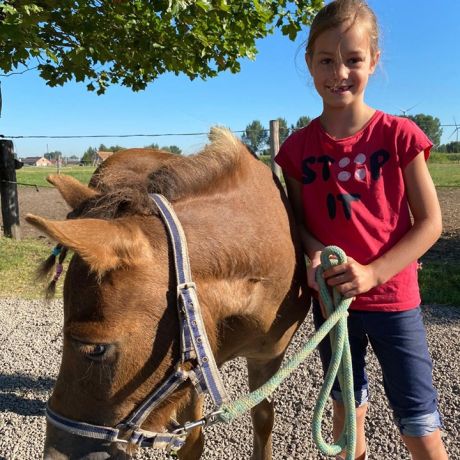 Pony- en paardenkamp 2 - 2020