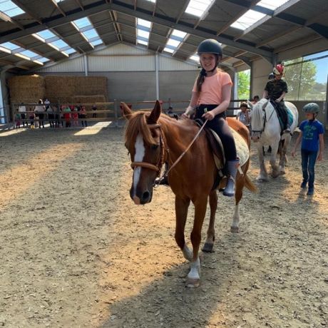 Pony- en paardenkamp 2 - 2020