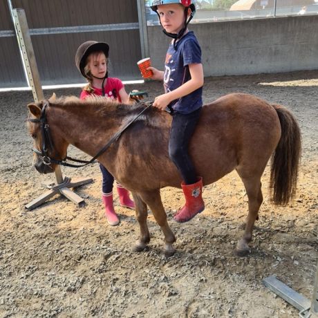 Pony- en paardenkamp 2 - 2020