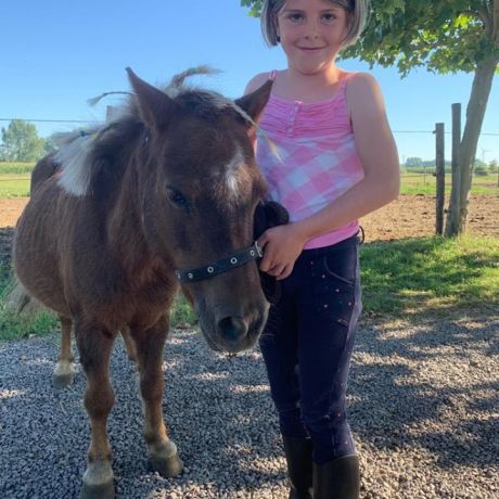 Pony- en paardenkamp 2 - 2020