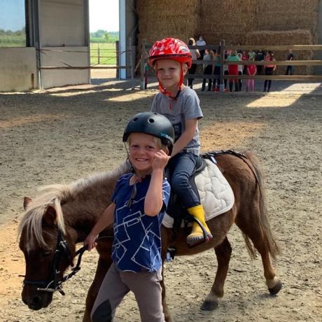 Pony- en paardenkamp 2 - 2020