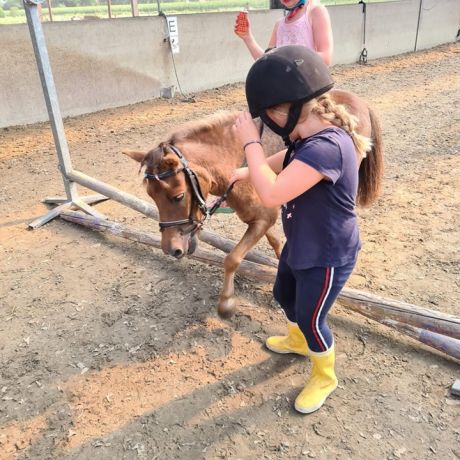 Pony- en paardenkamp 2 - 2020