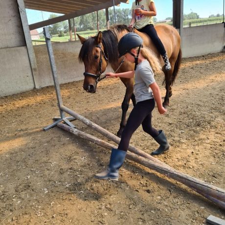 Pony- en paardenkamp 2 - 2020