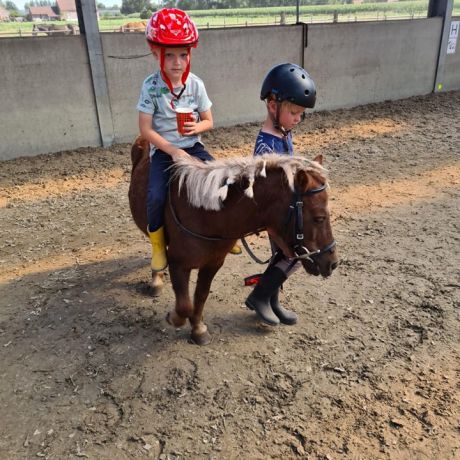 Pony- en paardenkamp 2 - 2020