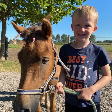 Pony- en paardenkamp 2 - 2020