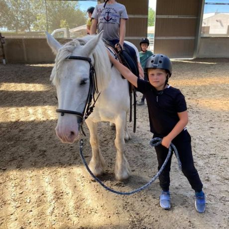 Pony- en paardenkamp 3 - 2020