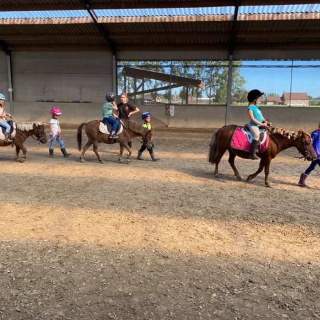 Pony- en paardenkamp 3 - 2020