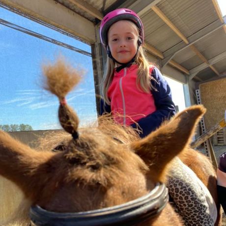 Pony- en paardenkamp 3 - 2020