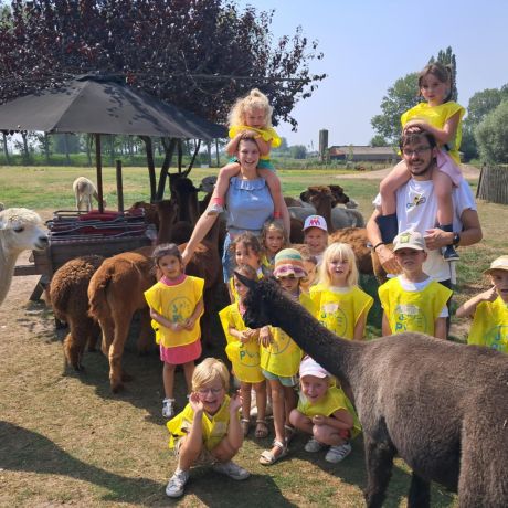 Joeplazomer 2025 - Week 6