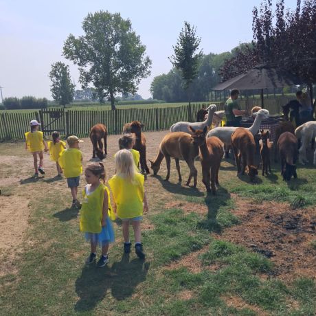 Joeplazomer 2025 - Week 6