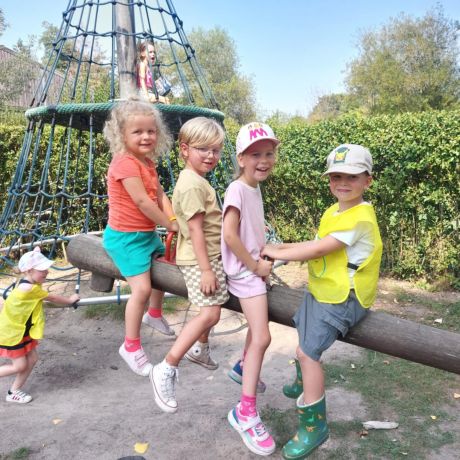 Joeplazomer 2025 - Week 6