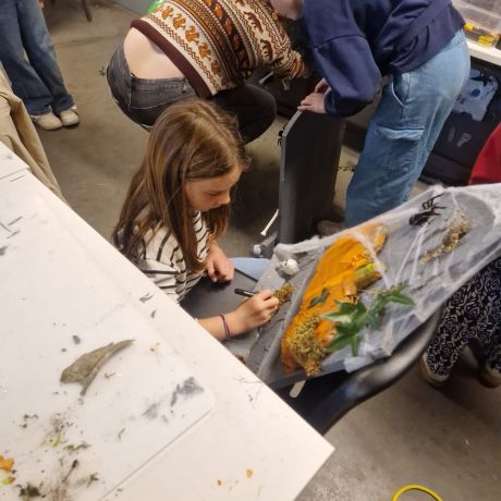 Crea ateliers 2025-2026 Reeks 1