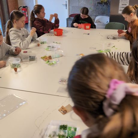 Crea 2025 - 2026 Reeks 2