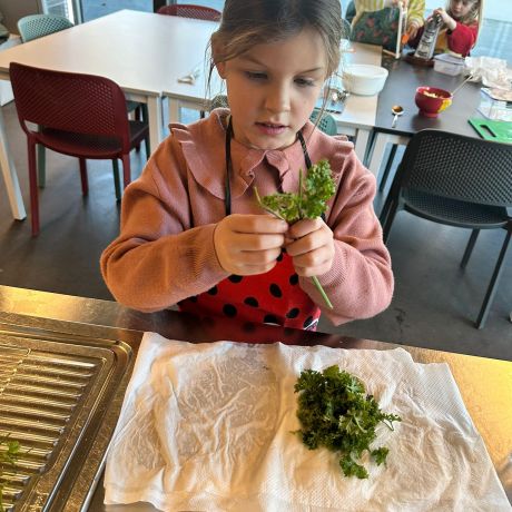 Crea 2025 - 2026 Reeks 2