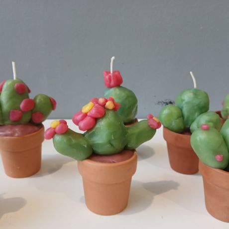 Crea 2025 - 2026 Reeks 2