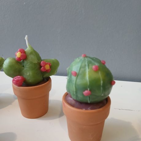 Crea 2025 - 2026 Reeks 2