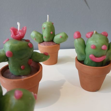 Crea 2025 - 2026 Reeks 2