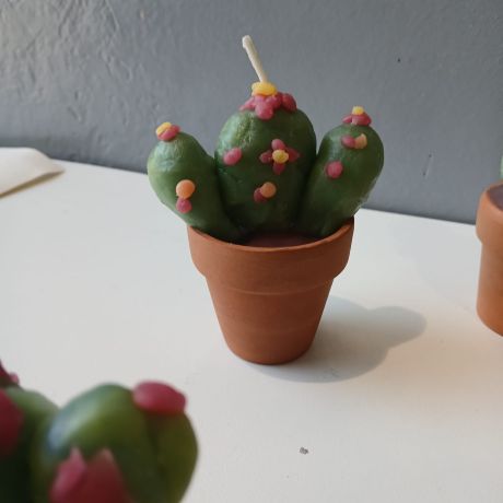 Crea 2025 - 2026 Reeks 2