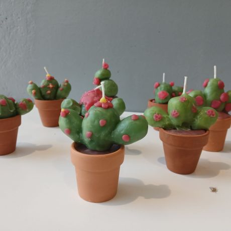 Crea 2025 - 2026 Reeks 2