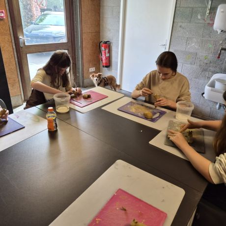 Crea 2025 - 2026 Reeks 2