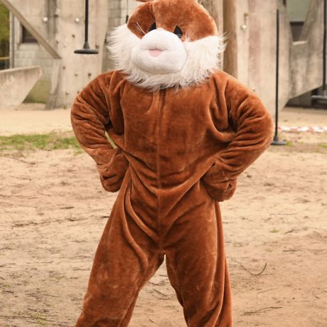 PSZ 2026
