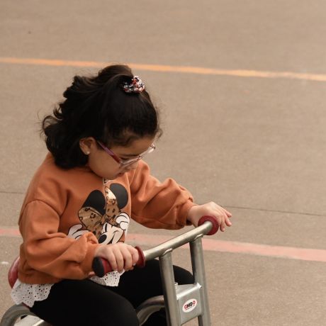 PSZ 2026