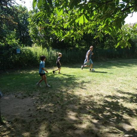 JOEPLA ZOMER 2026 WEEK 2