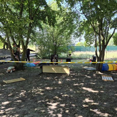 JOEPLA ZOMER 2026 WEEK 2